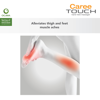 Picture of Ogawa Caree Touch Hand-Held Massager