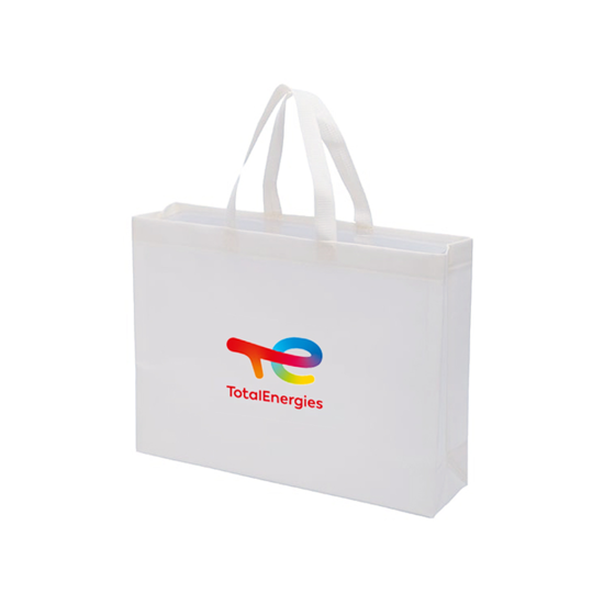 Picture of Non Woven Bag (A3)